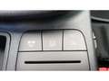 Ford Fiesta Titanium 1.0 EcoBoost M-Hybrid EU6d,Komfort,Winter Schwarz - thumbnail 21