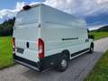 Peugeot Boxer 435 L4H3 Pro BlueHDi 140 Stop Weiß - thumbnail 5