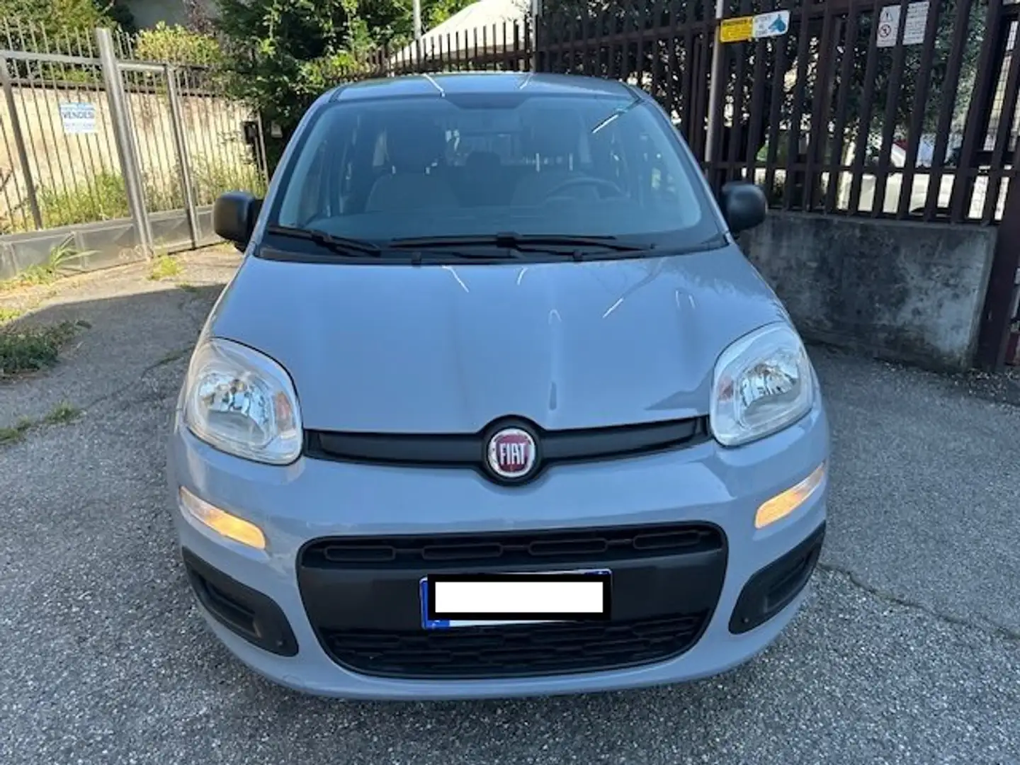 Fiat Panda 1.0 firefly hybrid S&S Grigio - 2