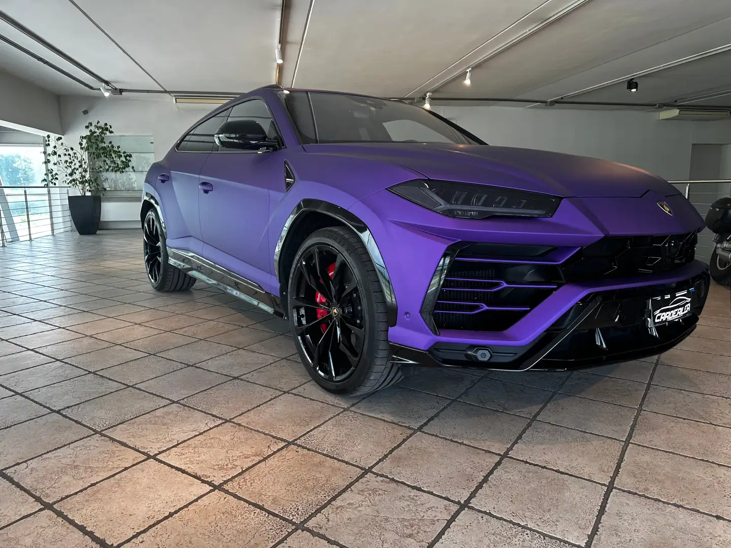 Lamborghini Urus Urus 4.0 V8 auto Fialová - 2