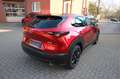 Mazda CX-30 e-SKYACTIV X M-Hybrid 186 Homura AT Rosso - thumbnail 13