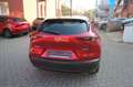 Mazda CX-30 e-SKYACTIV X M-Hybrid 186 Homura AT Rosso - thumbnail 14