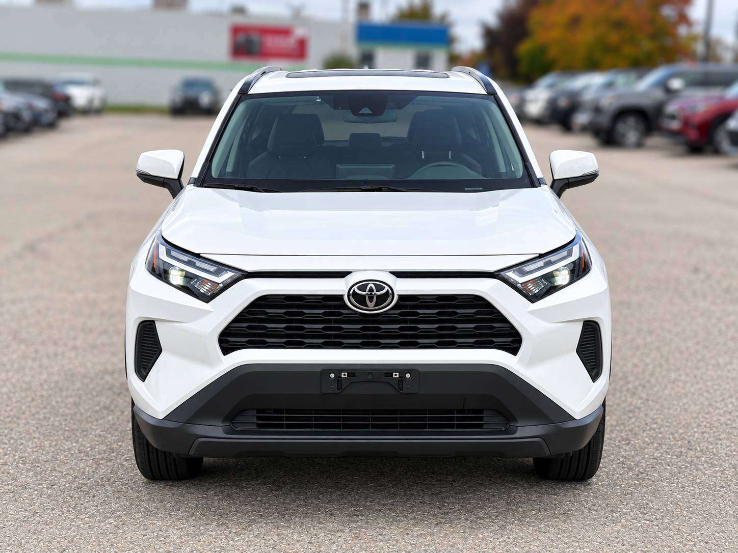2025 Toyota RAV4