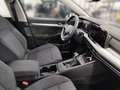 Volkswagen Golf VIII 1.5 TSI Navi LED DAB+ Grau - thumbnail 12