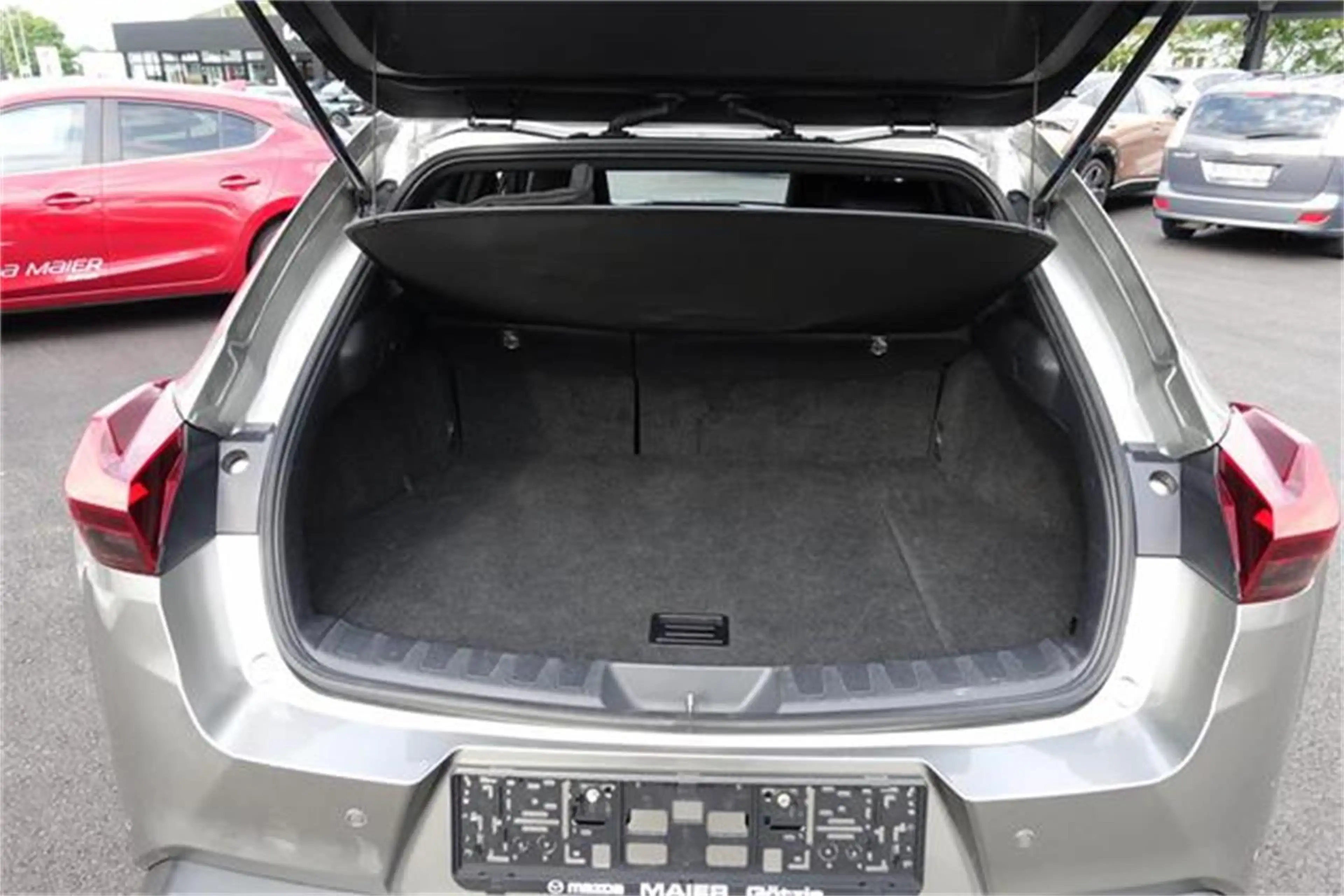 Lexus UX 250h Style+ Edition 1,4kWh Aut. — photo 9
