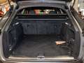 Audi A4 Avant 40 TDI qu edition one ACC virtCo Keyless Grau - thumbnail 7