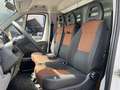 Fiat Ducato 33 MH1 2.3 mjt 120cv carro Blanc - thumbnail 10