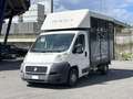 Fiat Ducato 33 MH1 2.3 mjt 120cv carro Blanc - thumbnail 1