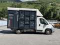Fiat Ducato 33 MH1 2.3 mjt 120cv carro Blanc - thumbnail 6