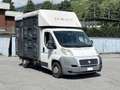 Fiat Ducato 33 MH1 2.3 mjt 120cv carro Blanc - thumbnail 7