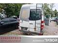 Mercedes-Benz Sprinter II HKa 313 CDI Euro5 - thumbnail 10