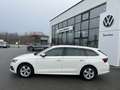 Skoda Octavia Combi Style TDI Weiß - thumbnail 2