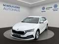 Skoda Octavia Combi Style TDI Weiß - thumbnail 1