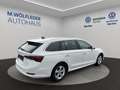 Skoda Octavia Combi Style TDI Weiß - thumbnail 4