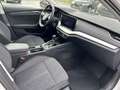 Skoda Octavia Combi Style TDI Weiß - thumbnail 14