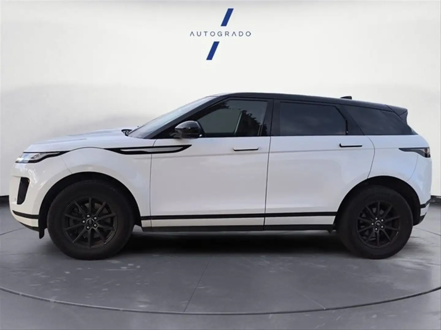Land Rover Range Rover Evoque 2.0 D150 FWD Weiß - 2