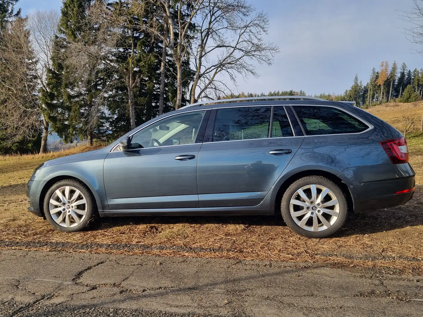 Skoda Octavia Octavia Combi 2,0 TDI Style Style, inkl. Anhängerrangier-Assistent, TOP Ausstattung Grau - 2