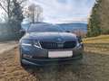 Skoda Octavia Octavia Combi 2,0 TDI Style Style, inkl. Anhängerrangier-Assistent, TOP Ausstattung Grau - thumbnail 5