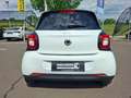 smart forFour smart fourfor Passion * PANORAMAGLASDACH * NAVI Weiß - thumbnail 9