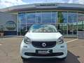 smart forFour smart fourfor Passion * PANORAMAGLASDACH * NAVI Weiß - thumbnail 4