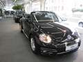 Volkswagen Beetle Cabriolet 1.2 TSI Design NAVI PDC Tempomat Noir - thumbnail 7