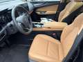 Lexus NX 450h+ AWD Executive Line |PANO|LEER|20 INCH|HUD Schwarz - thumbnail 13