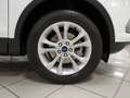 Ford Kuga 1.5 EcoB. Auto S&S Titanium 4x2 120 Bianco - thumbnail 14