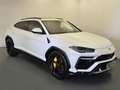 Lamborghini Urus 4.0 Bianco - thumbnail 1
