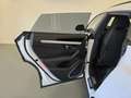 Lamborghini Urus 4.0 Blanc - thumbnail 19