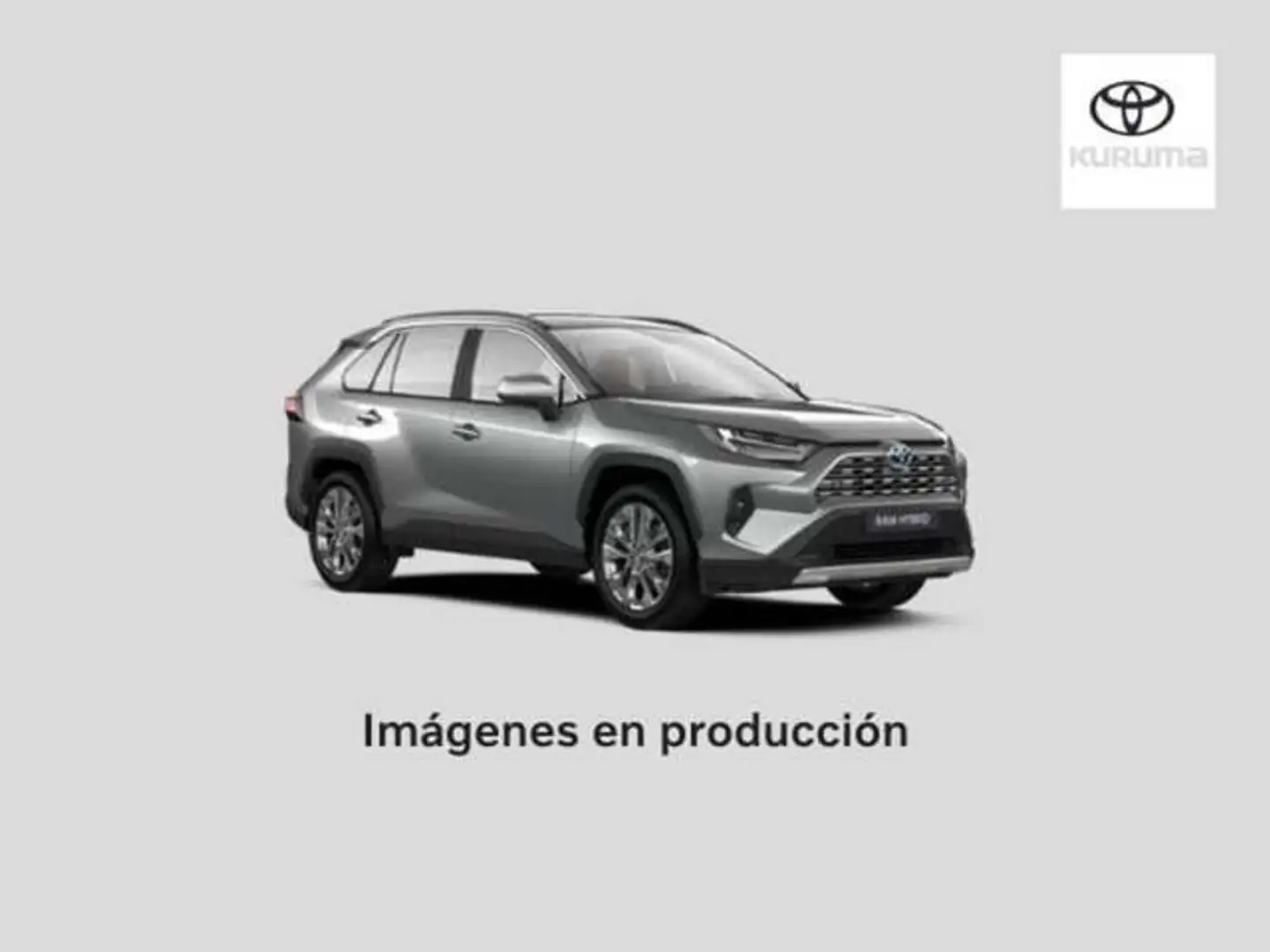 Toyota RAV4 2.5 hybrid 4WD Style Gris - 1