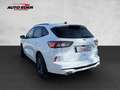 Ford Kuga Plug-In Hybrid ST-Line X Sportpaket Bluetooth Weiß - thumbnail 3