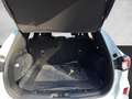 Ford Kuga Plug-In Hybrid ST-Line X Sportpaket Bluetooth Weiß - thumbnail 15