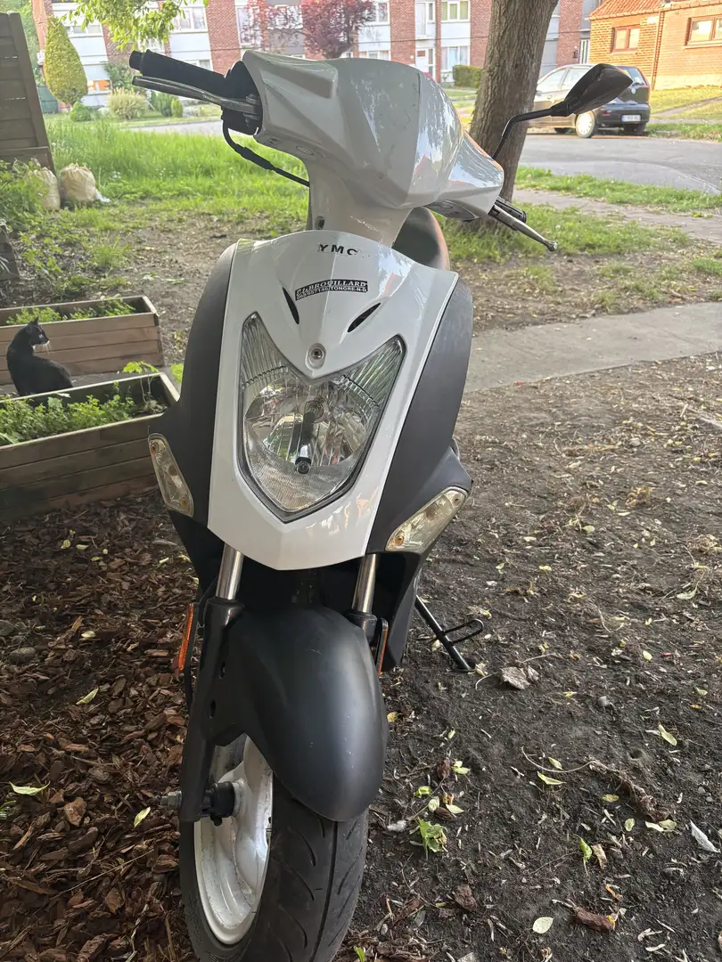 Kymco Agility 50 bonne etat classe a - 2