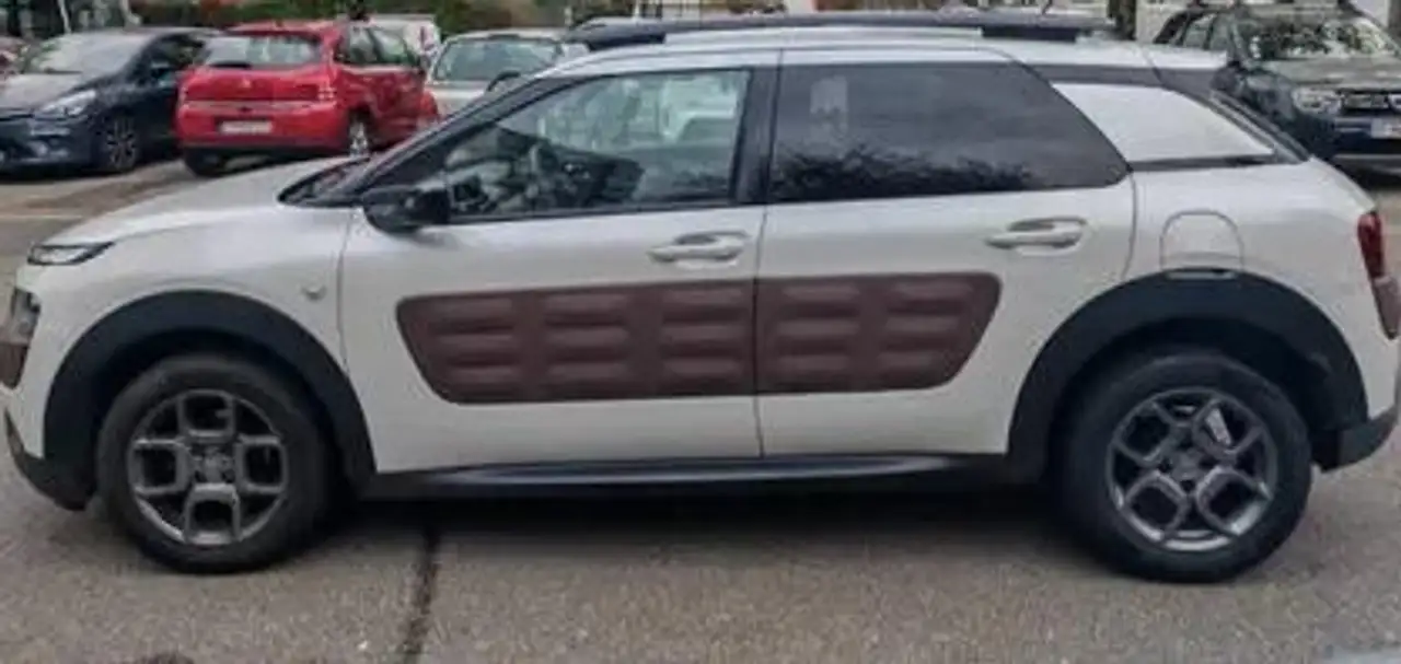 Citroen C4 Cactus PureTech 110 S