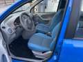 Fiat Panda 1.3 mjt 16v Dynamic Sky - thumbnail 7