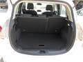 Ford B-Max Sync Edition Weiß - thumbnail 7