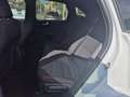 Ford Kuga ST-Line 2.5 Duratec PHEV 165kW Auto 225cv Blanco - thumbnail 9