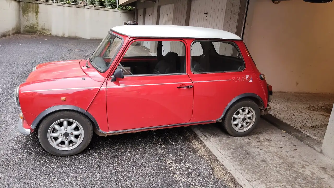 Rover Mini