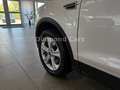 Ford Kuga Titanium*AUTOMATIK* KAMERA * TEILLEDER * Weiß - thumbnail 13