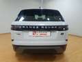 Land Rover Range Rover Velar 2.0D S 4WD Aut. 180 Blanc - thumbnail 6