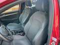 Volkswagen Golf 1.5 TSI 50 Aniversario 110kW Rojo - thumbnail 13