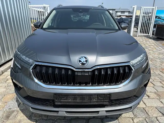 Skoda Kamiq view 2