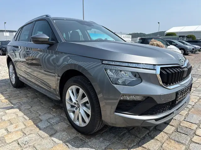Skoda Kamiq view 3