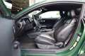 Ford Mustang 5.0 V8 GT/TEMP/MFL/KLIMA/SPUR/TOTW/R19 Verde - thumbnail 9
