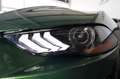 Ford Mustang 5.0 V8 GT/TEMP/MFL/KLIMA/SPUR/TOTW/R19 Verde - thumbnail 6
