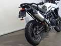 Triumph Tiger 900 GT PRO Wit - thumbnail 7