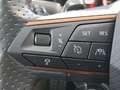 CUPRA Leon Sportstourer VZ 4Drive 2.0 TSI DSG Voll-LED Rot - thumbnail 19