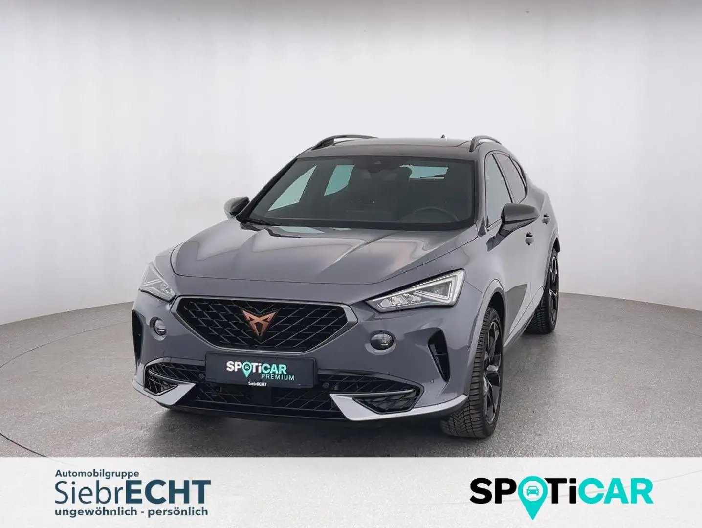 CUPRA Formentor VZ 4Drive 2.0 TSI*NAVI*SHZ*RFK*uvm Gris - 1