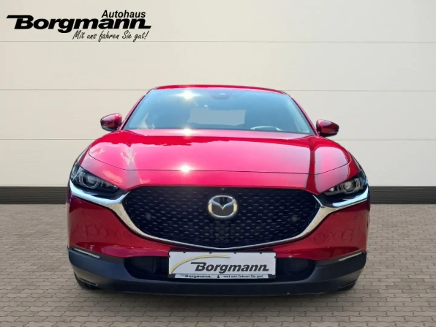 Mazda CX-30 Selection - Bose - Kamera 360Grad - MatrixLED -ACC Rouge - 2