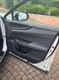 Lexus NX 450h+ NX 450h  E-Four Luxury Aut. Luxury Weiß - thumbnail 8